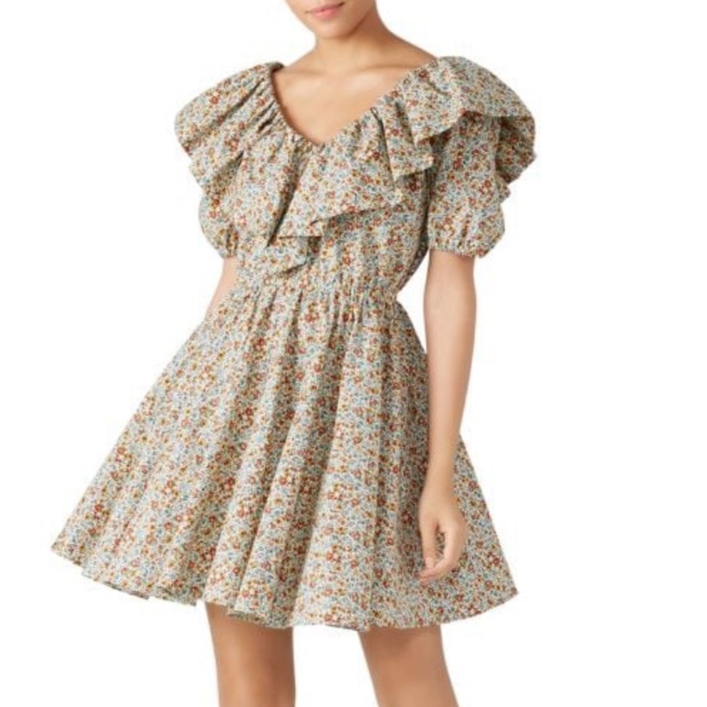 New NWT Luisa Floral Ruffle Puff Sleeve Fit & Flare Dress size medium
